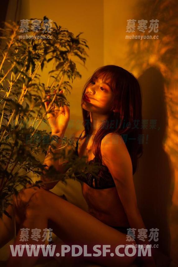 PDL潘多拉 - 卓尔不群的Ellie艾栗栗，自带丝袜分享口碑，超值得一看！