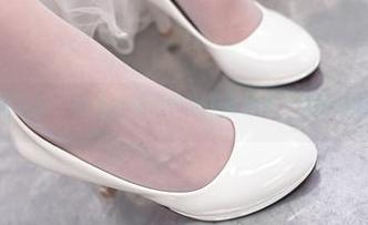 高清资源，如果大米米球遇上芭芭拉，会吵架吗？
