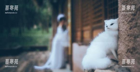 微密圈 - 好H好女杀手！旅拍作品集更新，花样多到让我只能默默佩服她的摄影技巧！