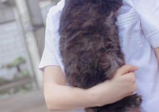 疯猫ss和他的伴侣，双人空间灵感—快下载试试！